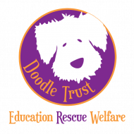 Doodle Trust Logo - Education, Rescue, Welfare